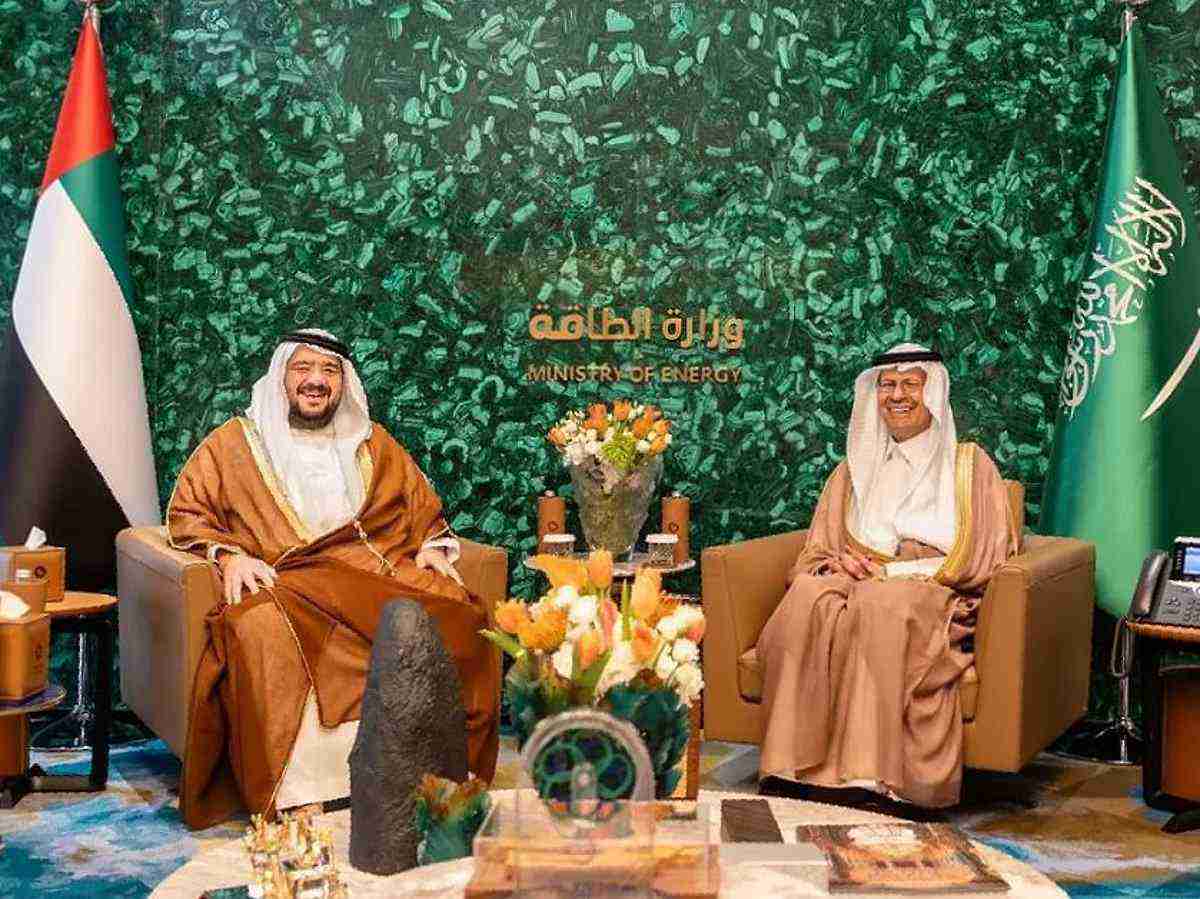 UAE and Saudi Arabia Sign MoU on Rail and Energy Cooperation